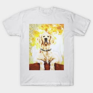 Charlie in the woods T-Shirt